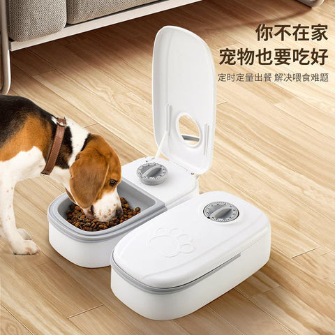 Comedouro Automático para Cães e Gatos